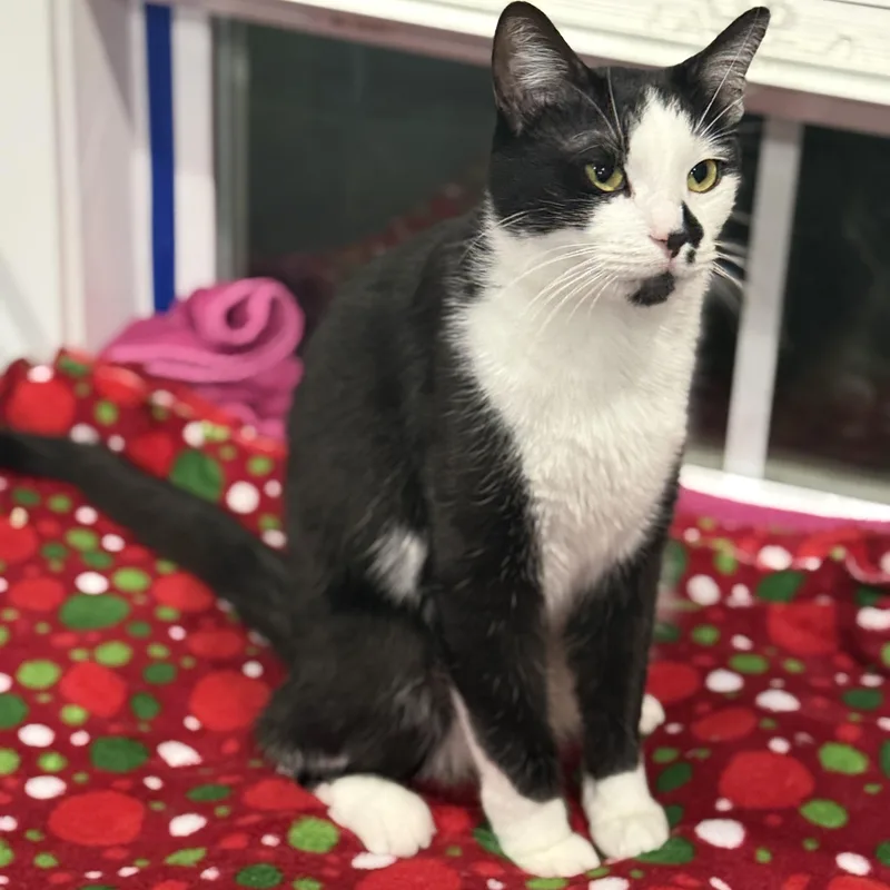 Wright And Lenny thumbnail 5