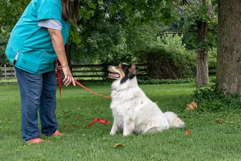 Douglassuch A Happy Face!! thumbnail 4