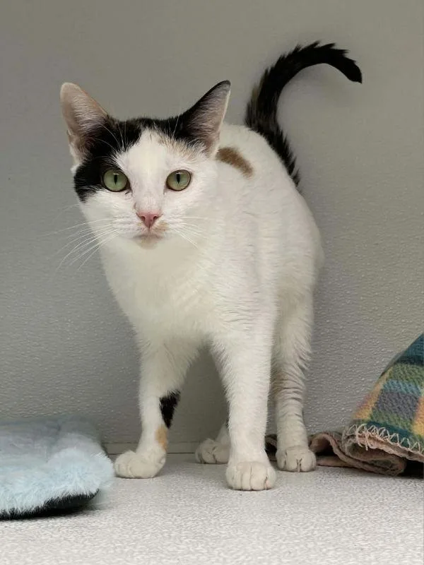 Gigi And Jenny thumbnail 3