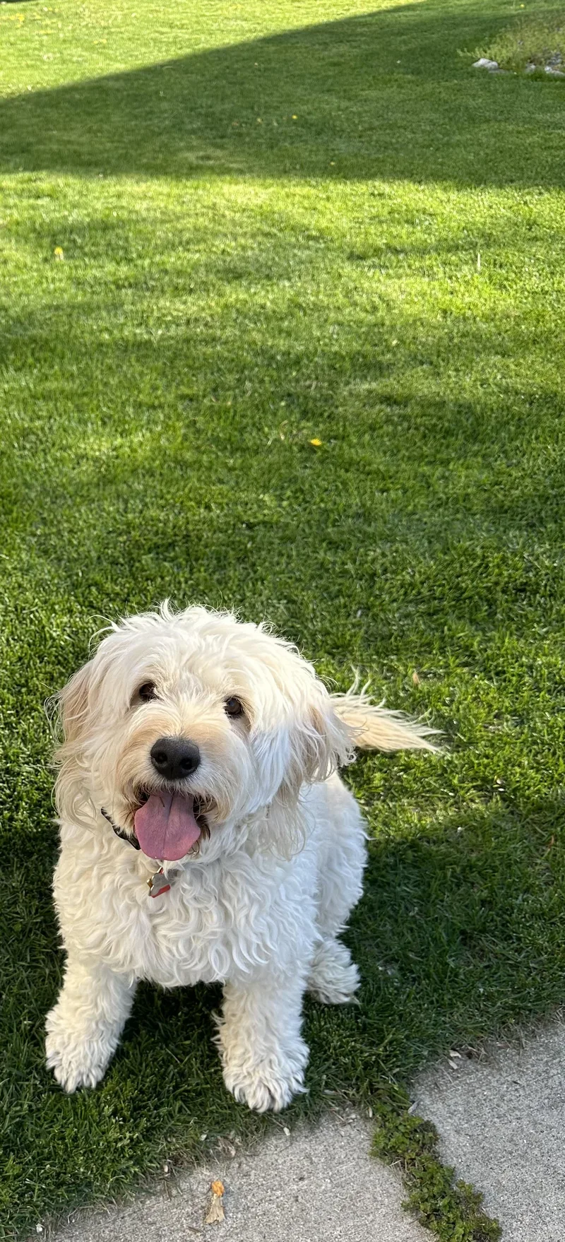 Flynn