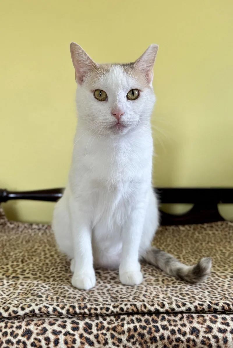 Tina Purrner thumbnail 2