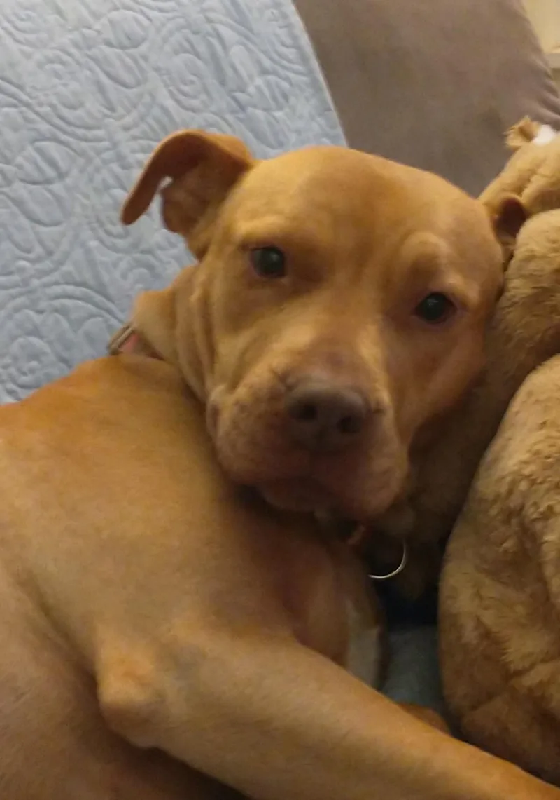 Truffles thumbnail 3