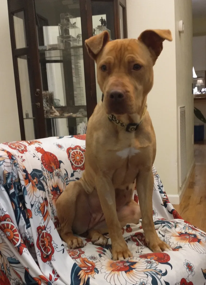 Truffles thumbnail 4