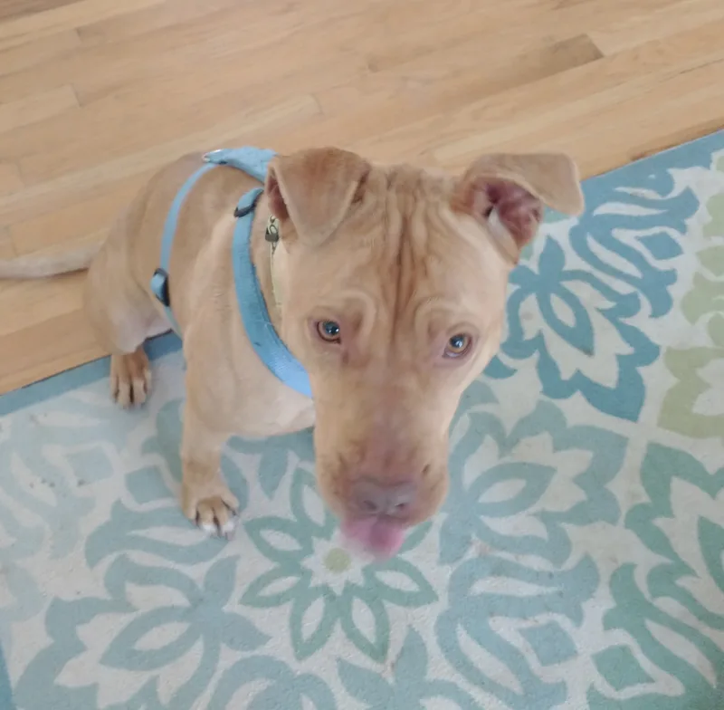 Truffles thumbnail 6