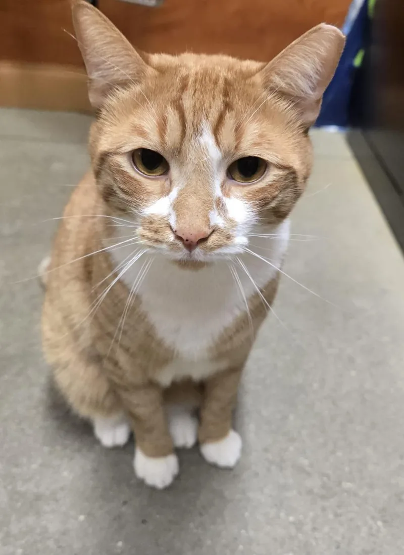 Bonded Brothers Rio & thumbnail 4