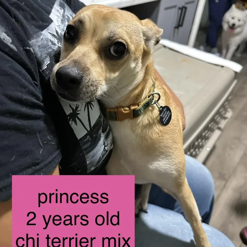 Princess