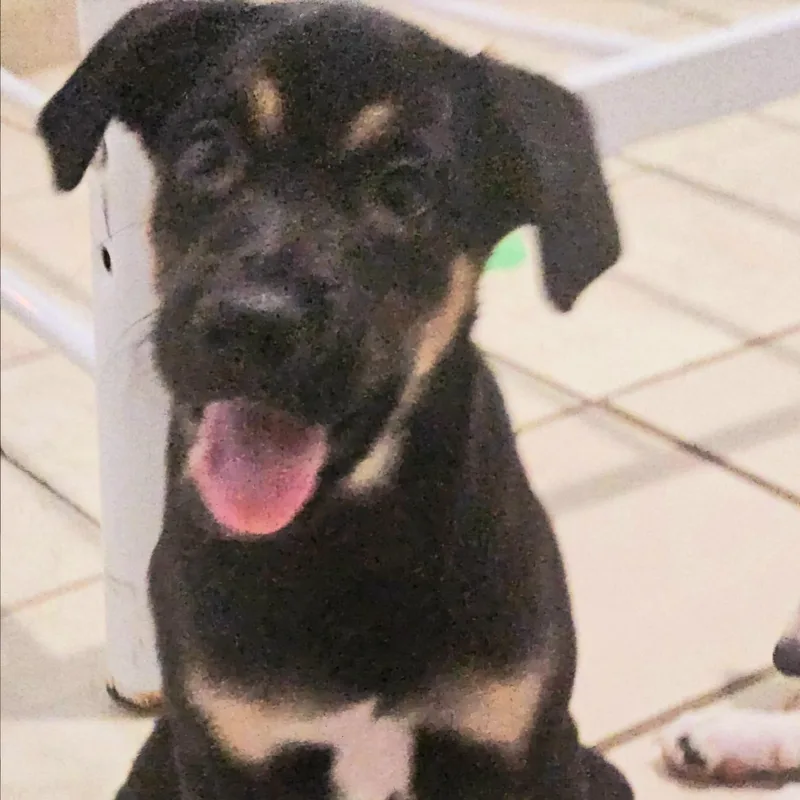 Xena "super Cuddler!" thumbnail 2