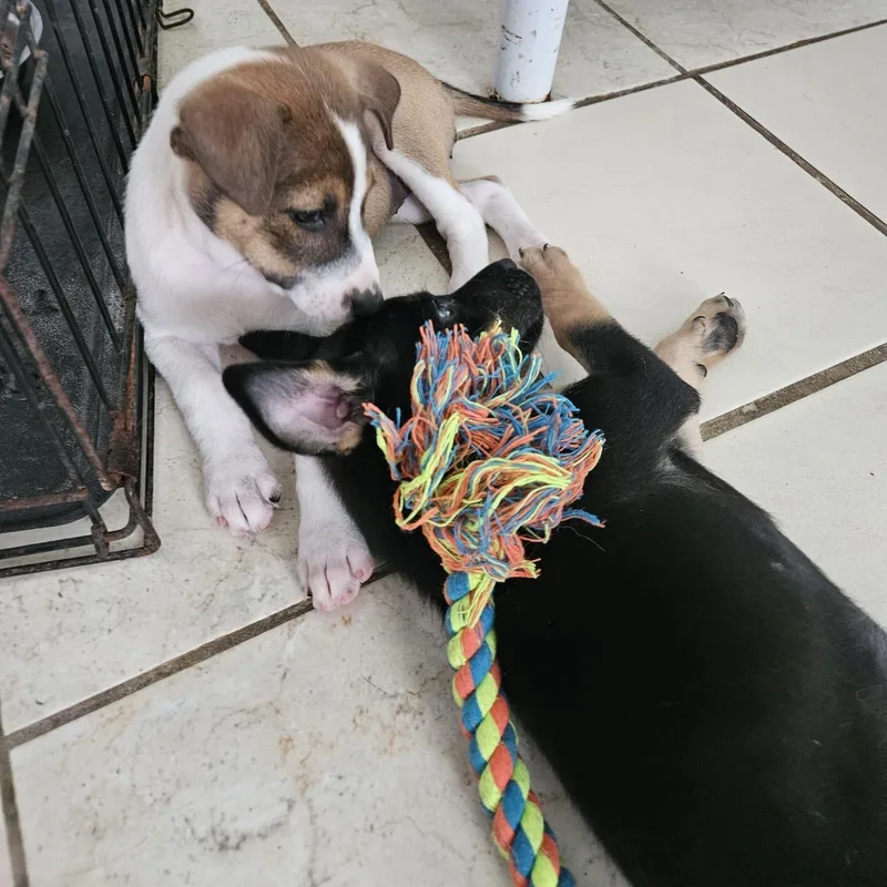 Xena "super Cuddler!" thumbnail 6