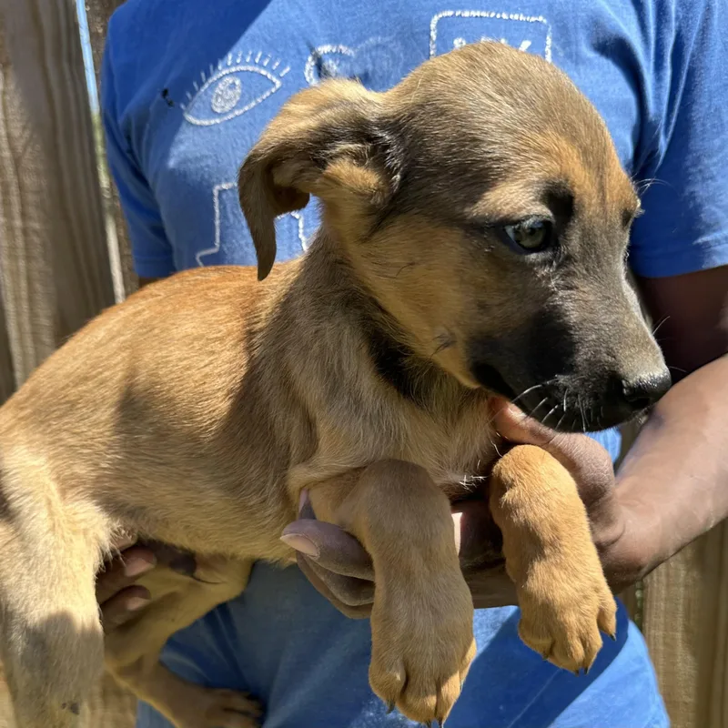 Huck  Local April thumbnail 5