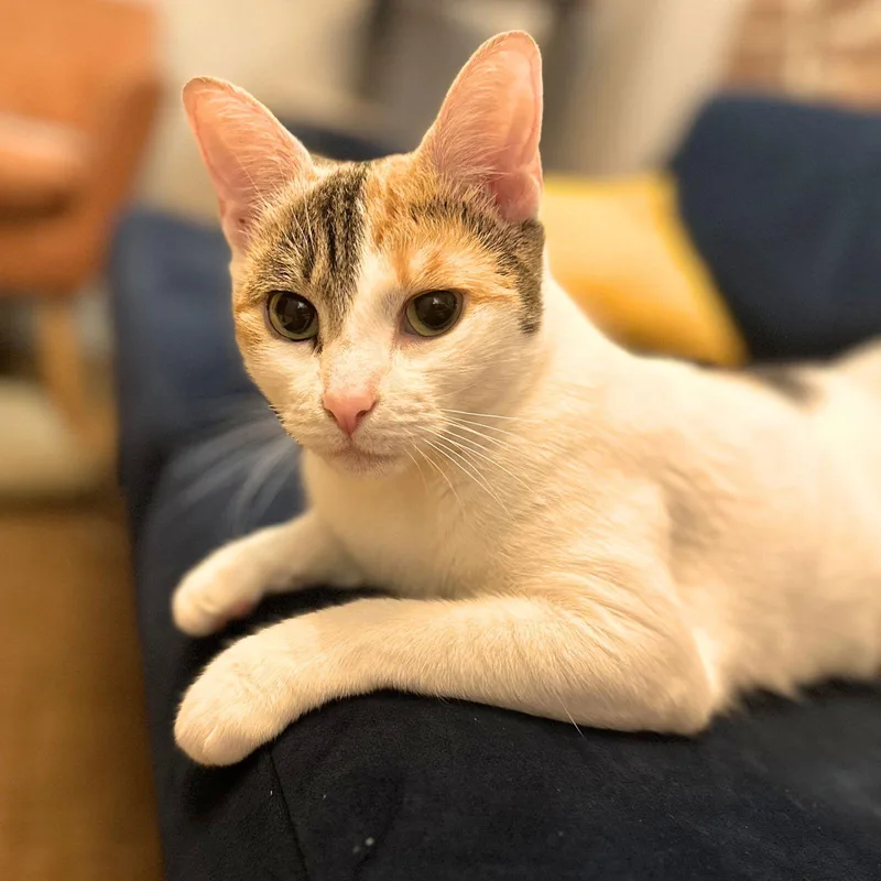 Sunny Hale thumbnail 2