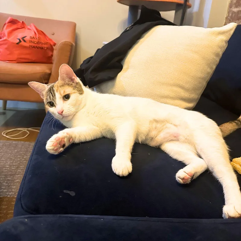 Sunny Hale thumbnail 3