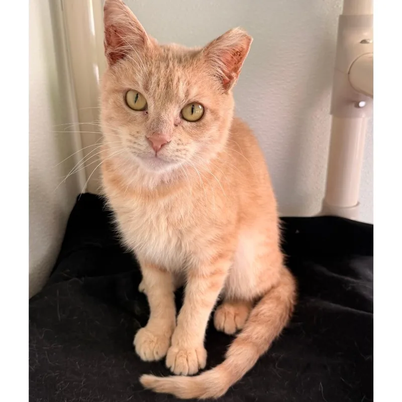 Gare Bear thumbnail 4