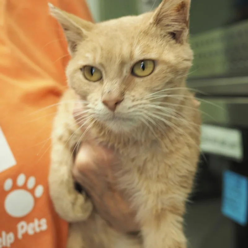 Gare Bear thumbnail 5