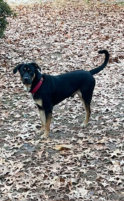 Jake And Harley thumbnail 3