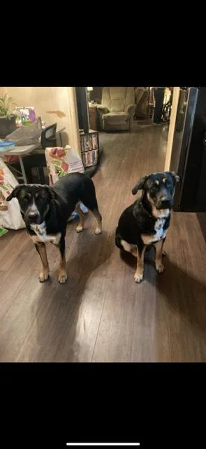 Jake And Harley thumbnail 4