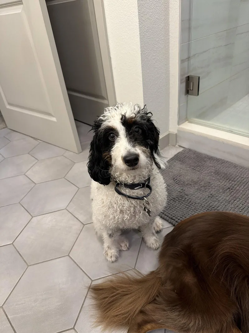 Pepper thumbnail 3