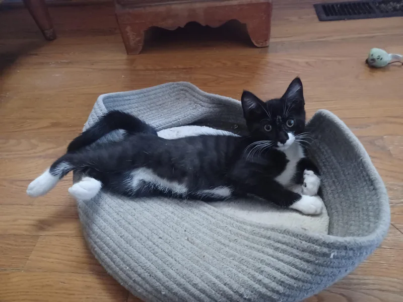 Josie and Kyra thumbnail 3