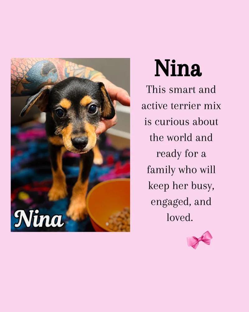 Nina Snuggles