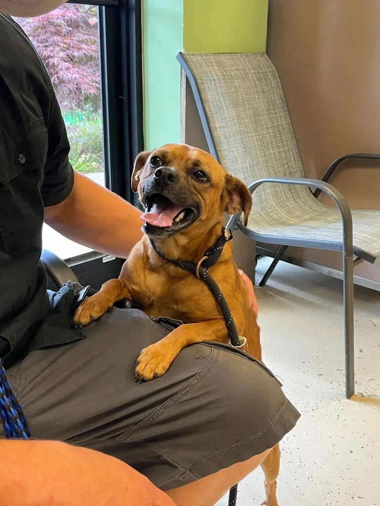 Daisy Mae thumbnail 2