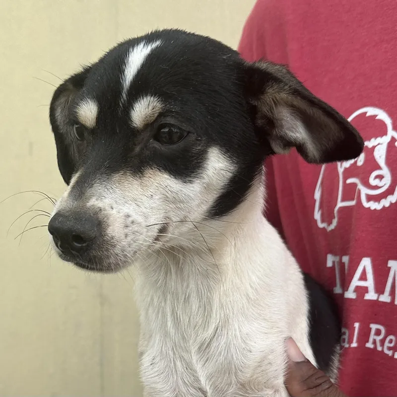 Marti  Local April thumbnail 2