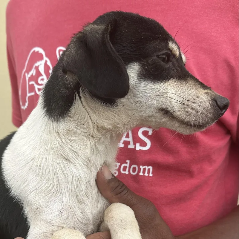 Marti  Local April thumbnail 4