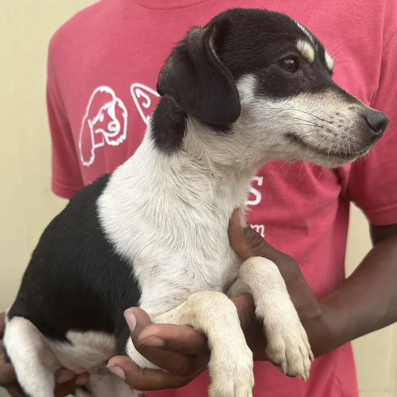 Marti  Local April thumbnail 5