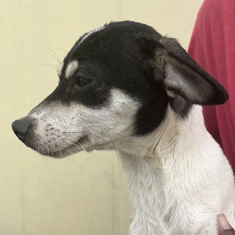 Marti  Local April thumbnail 6