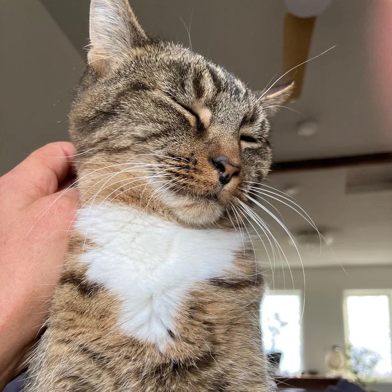 Rosie thumbnail 3