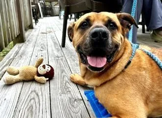 Buster thumbnail 3
