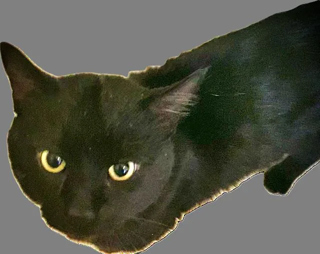 Shadowkin thumbnail 2