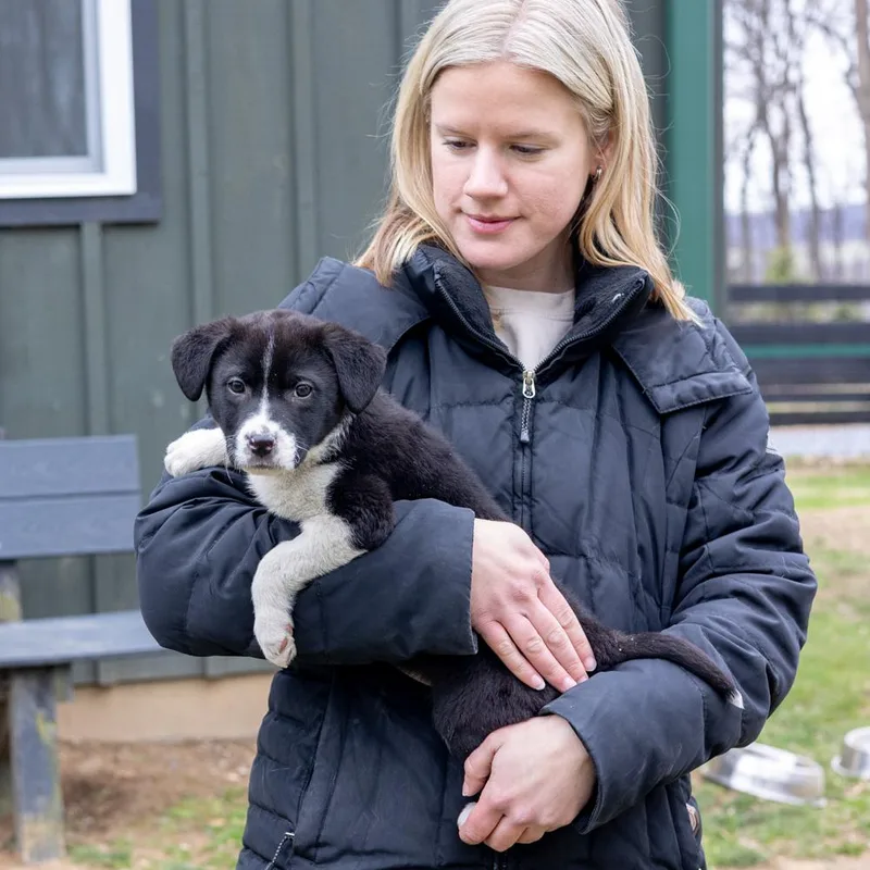 Dillavail thumbnail 2