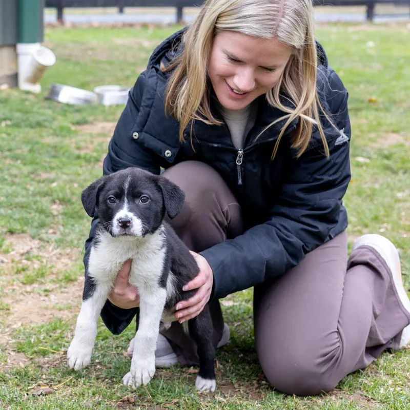 Dillavail thumbnail 4