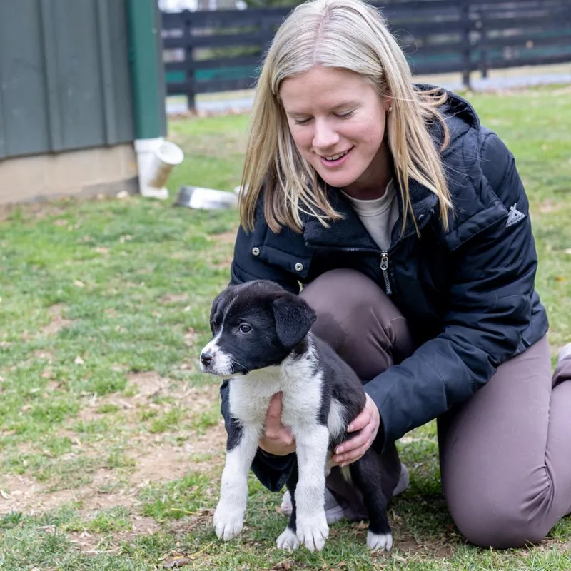 Dillavail thumbnail 5