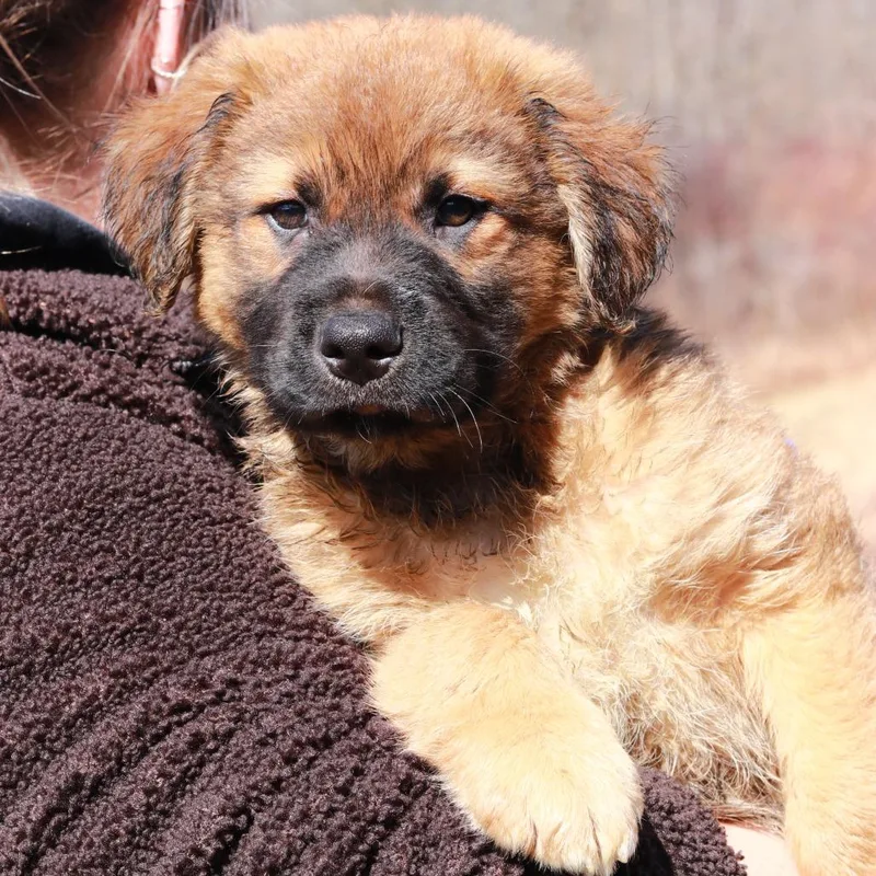 Ct Harry Potter thumbnail 2