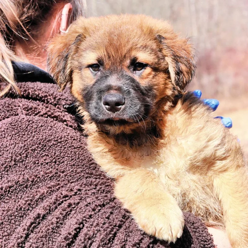 Ct Harry Potter thumbnail 4