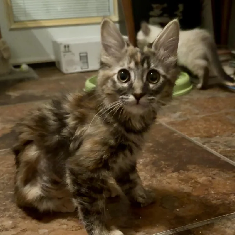 Libby thumbnail 3