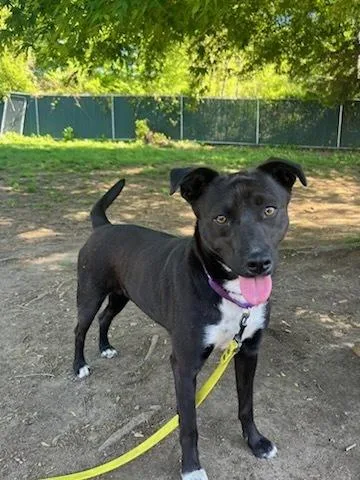 Samantha thumbnail 2