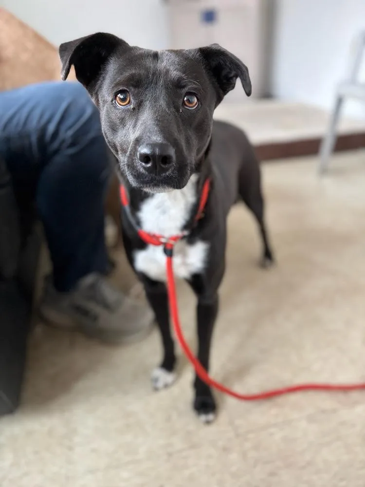 Samantha thumbnail 3