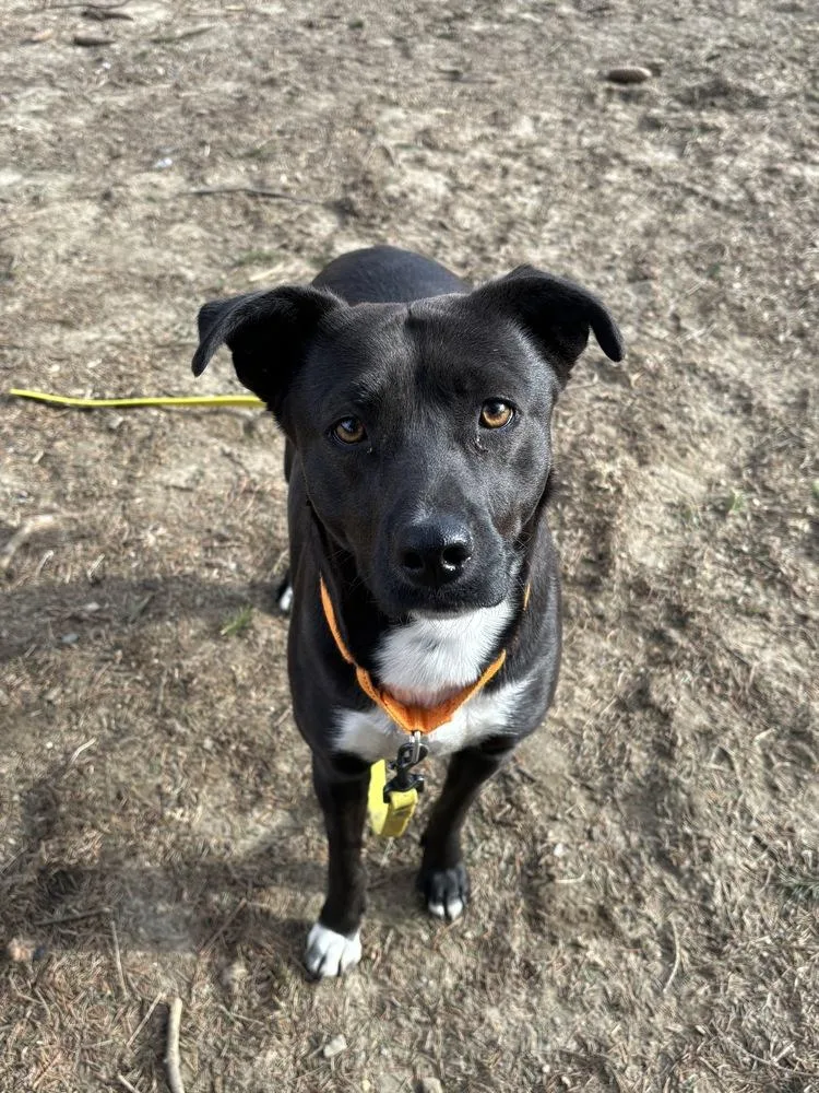 Samantha thumbnail 4