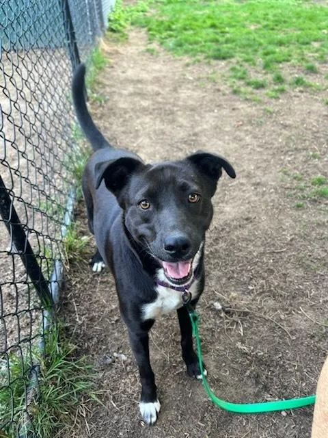 Samantha thumbnail 5