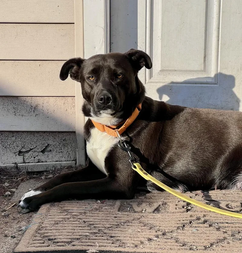 Samantha thumbnail 6