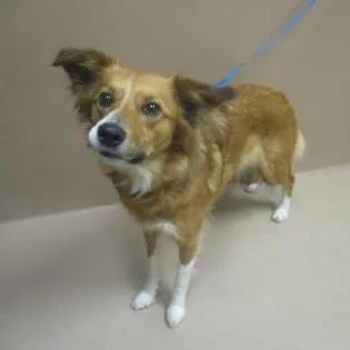 Princess thumbnail 3