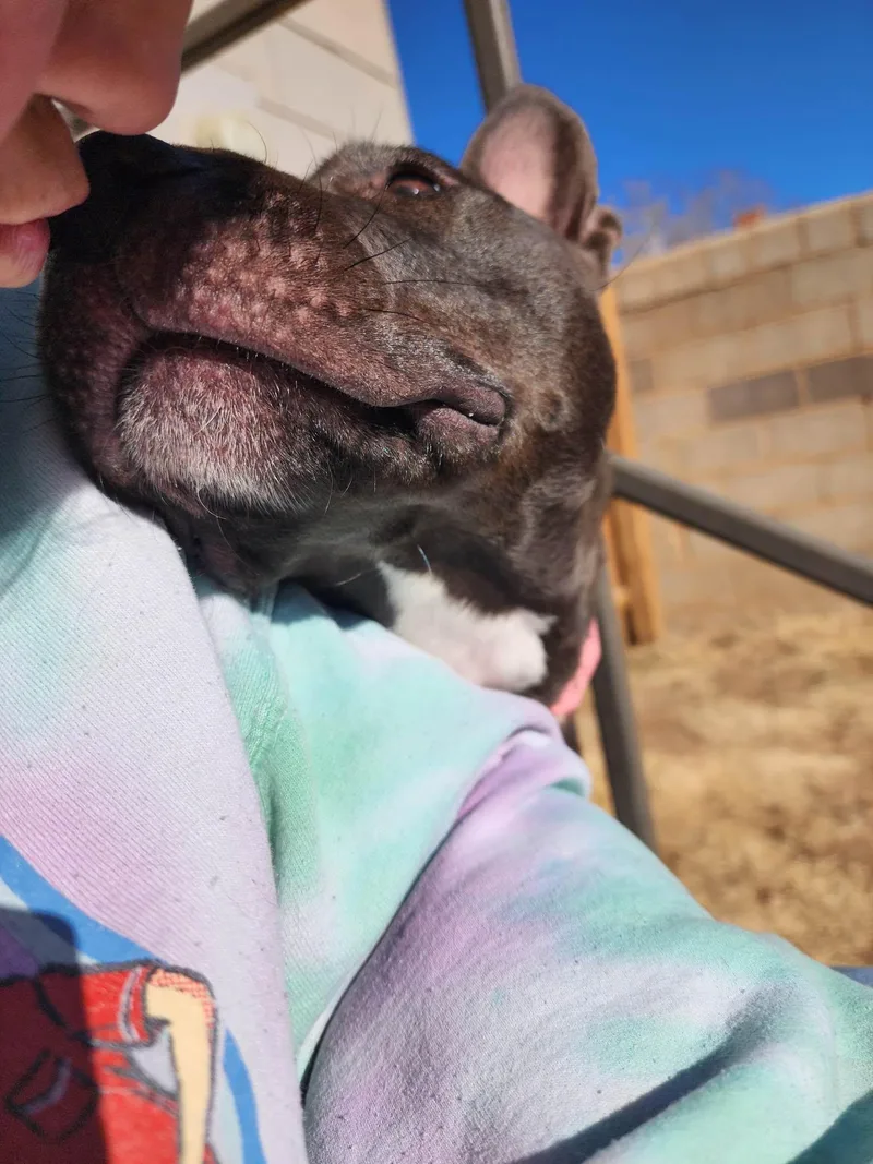 April thumbnail 2