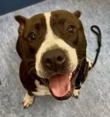 Jeremiah thumbnail 2