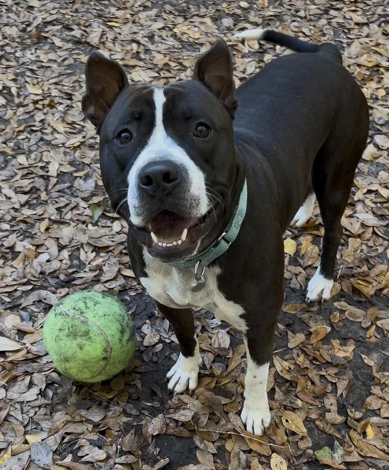 Jeremiah thumbnail 3