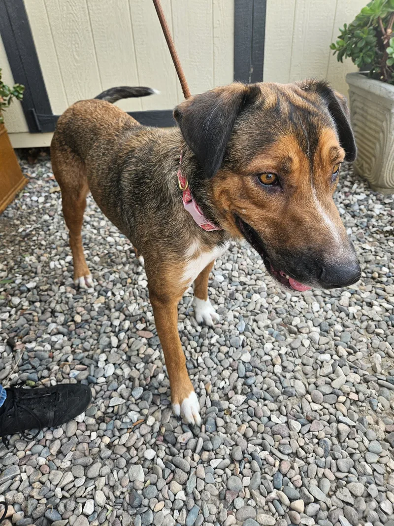 Sweet Sofie thumbnail 2