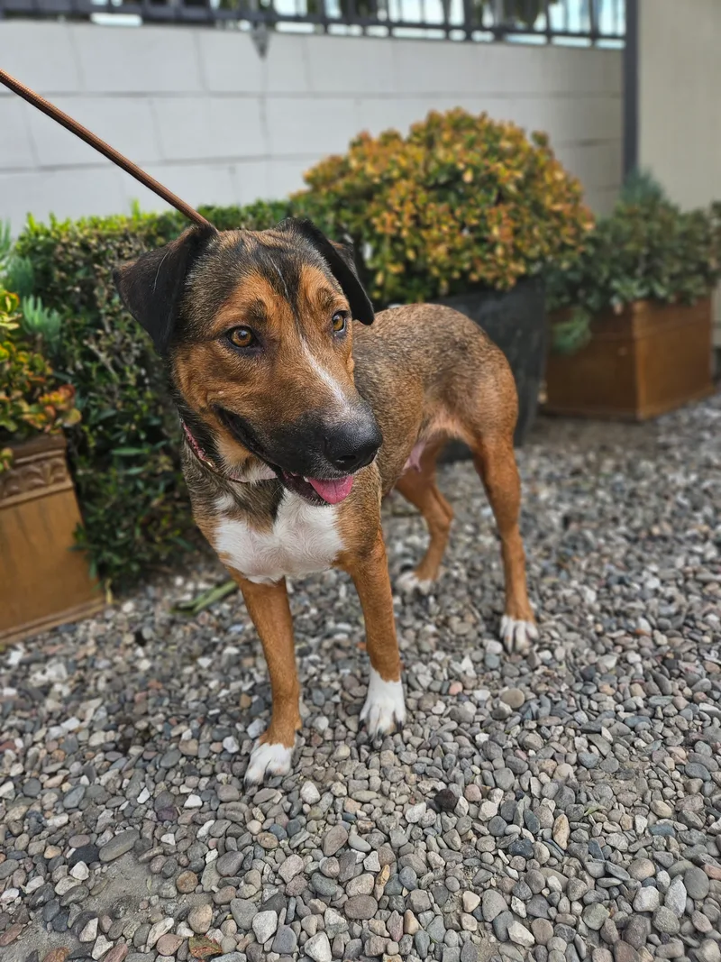 Sweet Sofie thumbnail 3