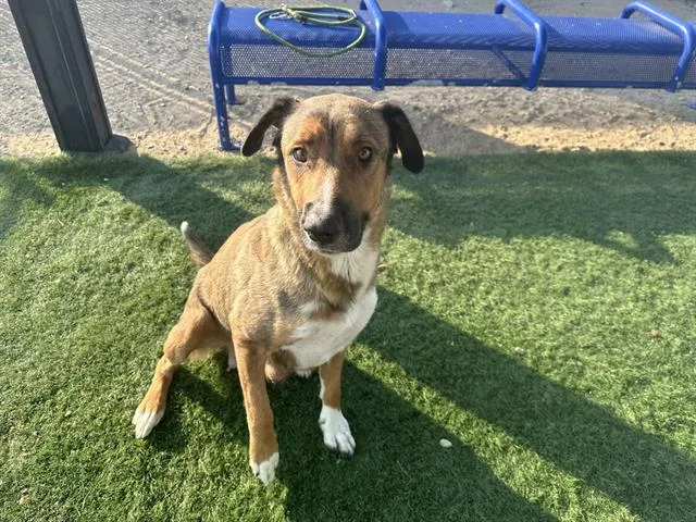 Sweet Sofie thumbnail 5