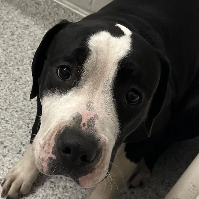 Stephanie Tanner thumbnail 2