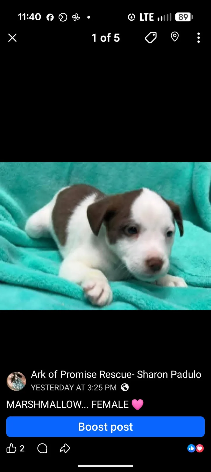 Kona